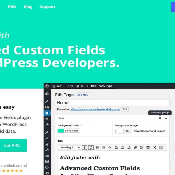 Advanced Custom Fields (ACF)